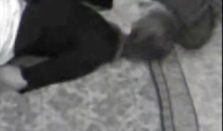 سامانتا تماس مارک بادی زنانه سکسی به او دمار از روزگارمان درآورد
