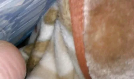 شارون دریک لباس سکسی مجلسی